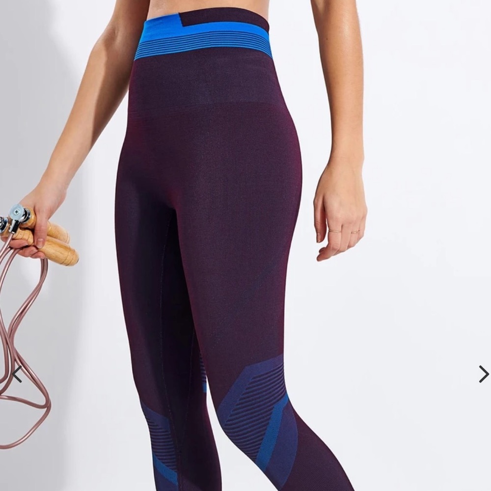 NWT LNDR Solar Legging